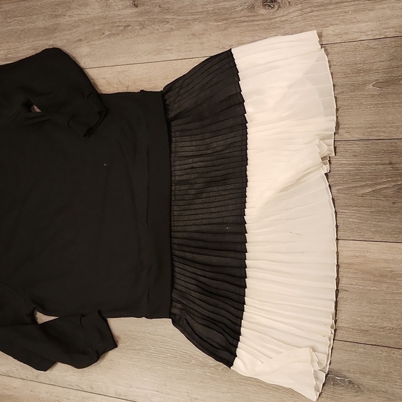 Zara Basic Dress - Picture 3 of 4